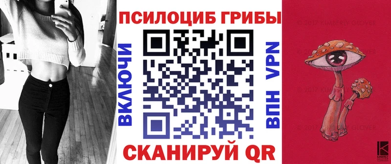 это Telegram  Топки  Галлюциногенные грибы GOLDEN TEACHER  продажа наркотиков 