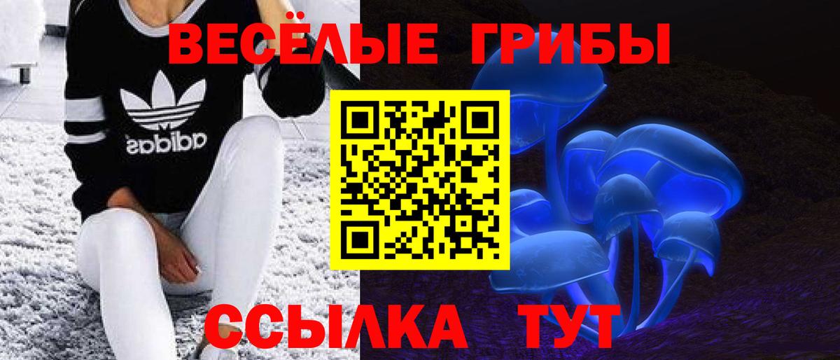 Псилоцибиновые грибы прущие грибы  Вход с VPN  Топки  Галлюциногенные грибы мицелий 